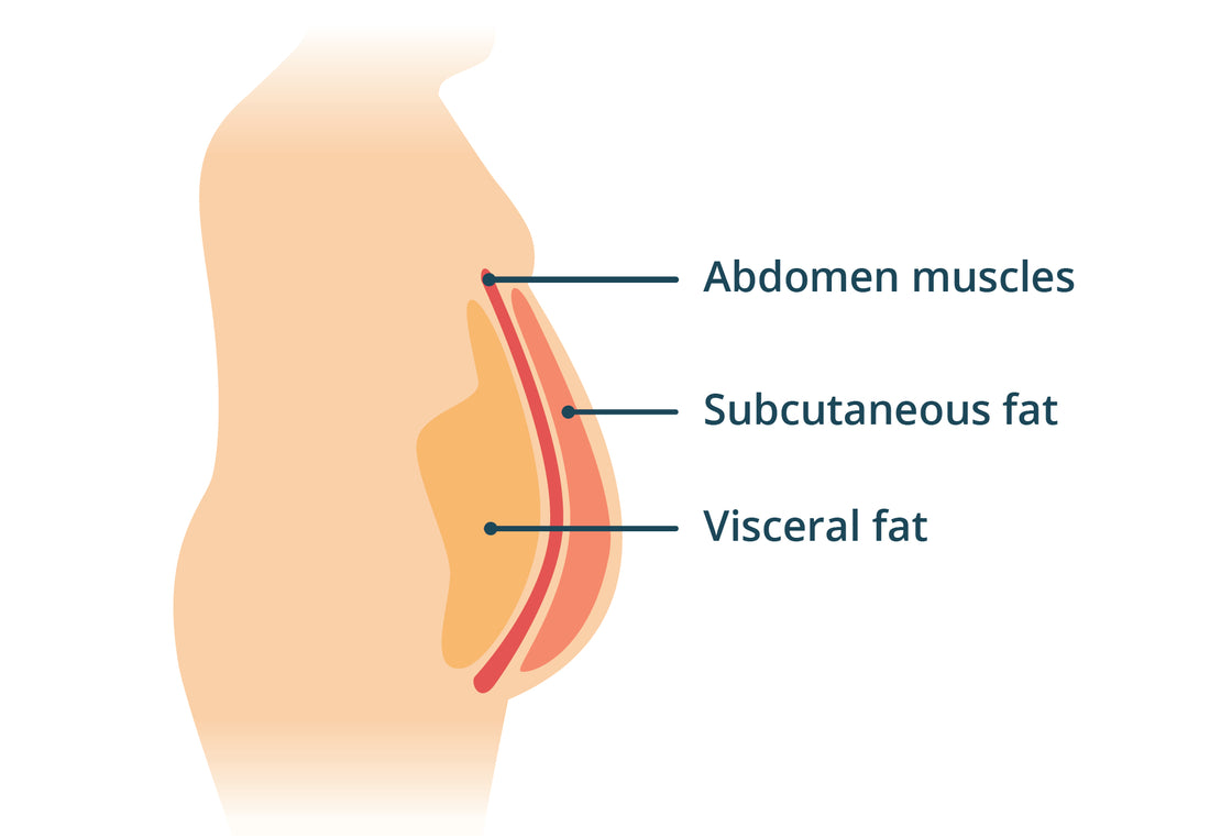 Body Fat- A Necessary Part of Human Existence